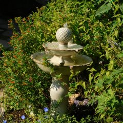 The Quiet Wild Blog