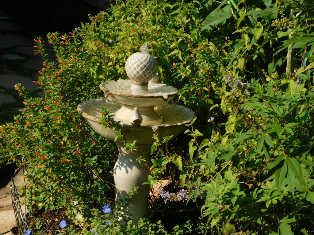 Hello, and welcome to the Quiet Wild Blog!