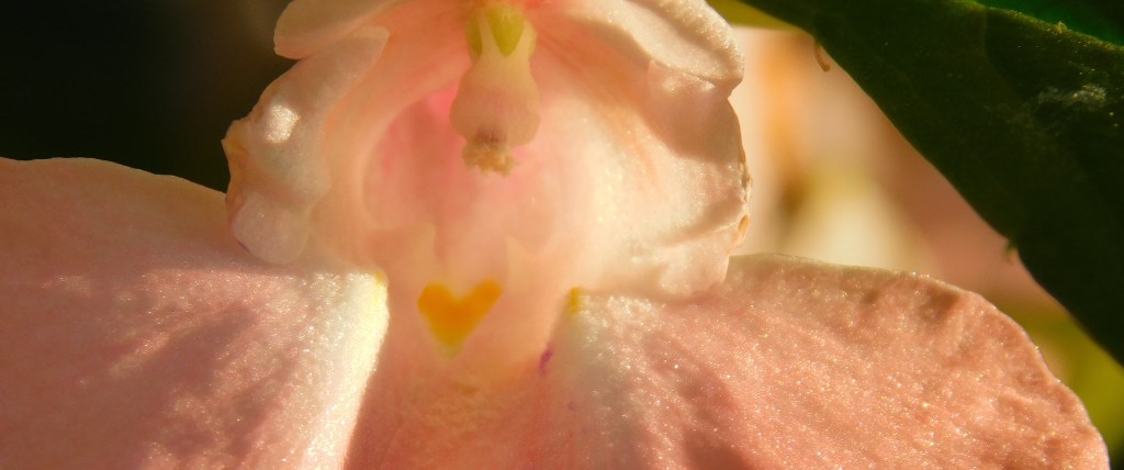 End of Summer&nbsp;Florals