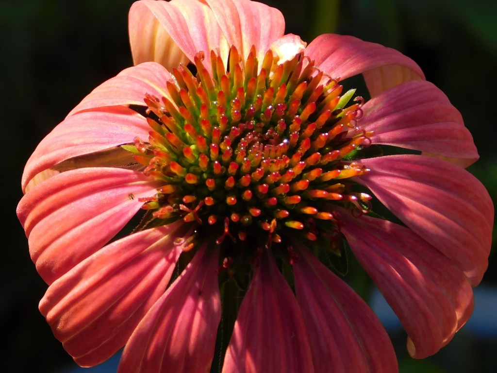 November in the Quiet&nbsp;Wild